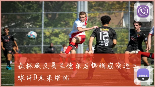 森林狼交易兰德尔后锋线崩溃迎三球评D未来堪忧