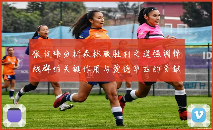 张佳玮分析森林狼胜利之道强调锋线群的关键作用与爱德华兹的贡献
